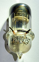 DS 310
